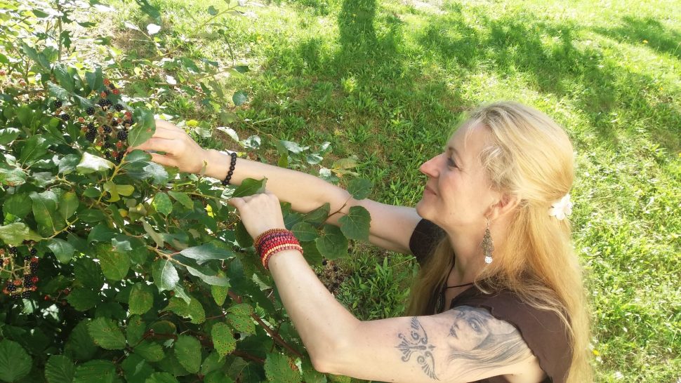 Anna Vičánková