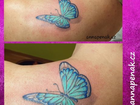 Tetování motýl